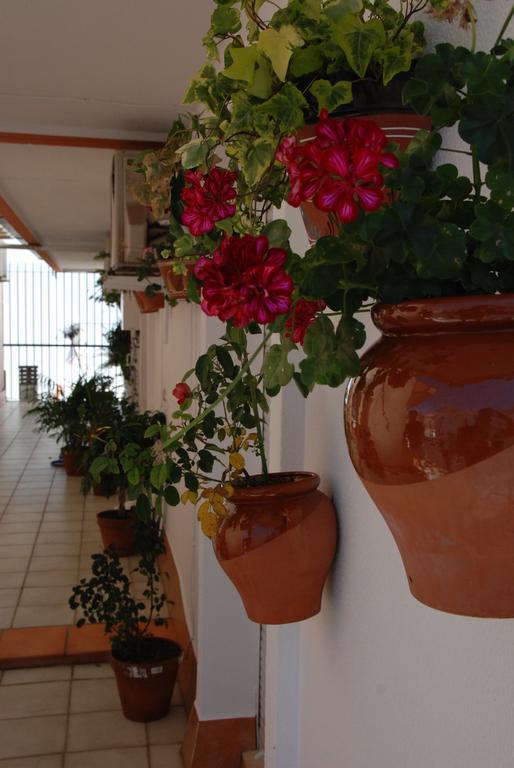 Hostal Puerto Лепе Екстериор снимка